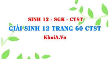 Giải Sinh 12 trang 60 Chân trời Sáng tạo